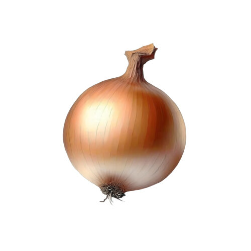 Cebollas