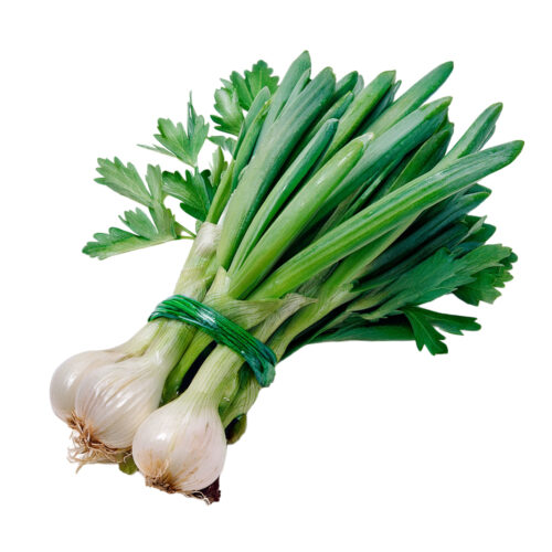 Cebollín