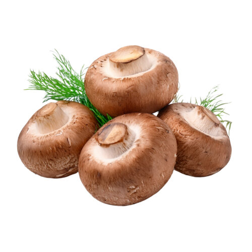 Champiñon