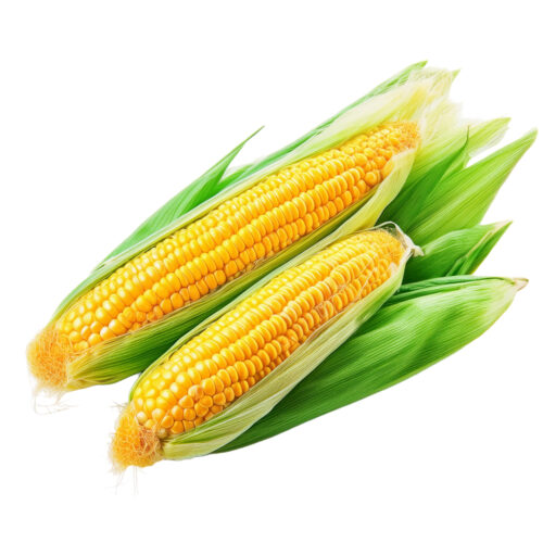Choclo Americano Bandeja
