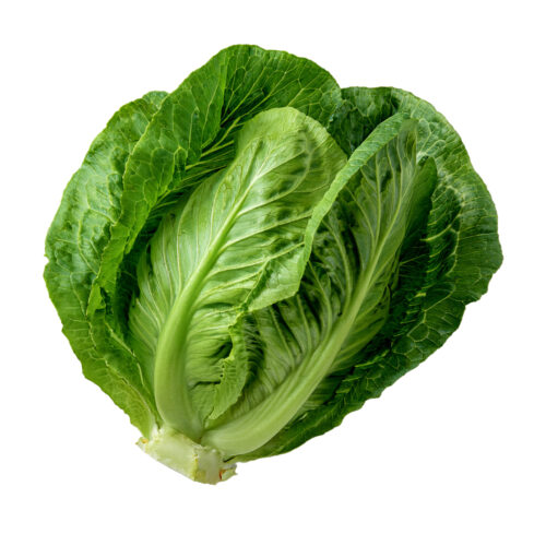 Lechuga Milanesa