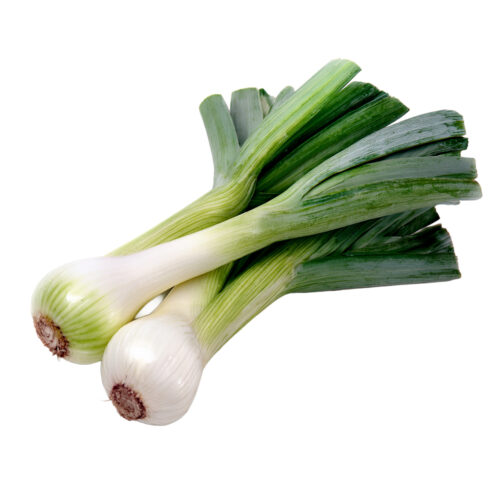 Puerro