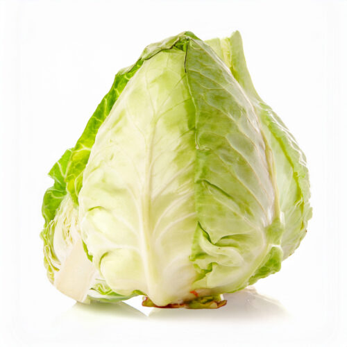 Repollo Verde